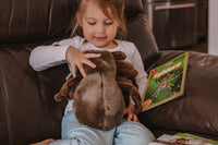 edZOOcation™ Animal Education Subscription Box by Wildlife Tree