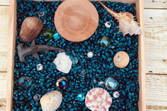 Montessori and Waldorf Inspired Exploration Box | Bloom Box