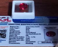 Dragon's Hoard Subscription Box