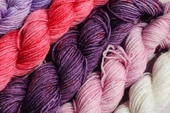 Mystery Mini Skein Box by The Zippy Zebra