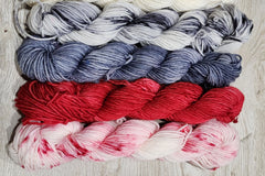 Mystery Mini Skein Box by The Zippy Zebra