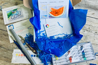 Your Paint Box