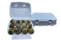 24 Fresh Quail Eggs