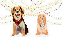 Wigglebutt Pack