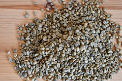 Unroasted Coffee Bean Monthly Subscription (14 oz)