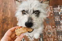 Recieve a variety of dog treats every month to your doorstep for you and your furbaby to enjoy. Explore what your pup loves! 