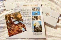 An example of a letter that Snorri might send you! Each letter is personalized and she loves sending them to everyone! 