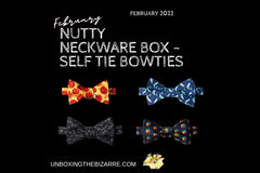 ZZ RT 1223 Nutty Neckware Tie Box
