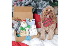 Dog Mom Box