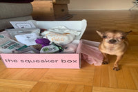 Deluxe Wag Swag Box
