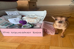 Deluxe Wag Swag Box