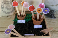 Montessori and Waldorf Inspired Exploration Box | Bloom Box