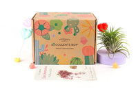 air plant subscription box monthly, Valentine's Day gift box, Valentines Gift Ideas, Live plant gift box, Kid friendly gift, Houseplant box 