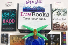 LuvBooks Romance Mystery Box