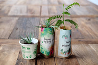 You Plant We Plant Trees, Grow Trees and We'll Plant 30 More