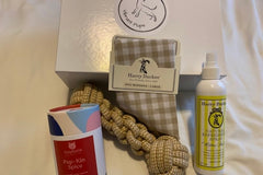Vibrant Pup Box