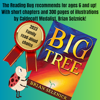 Image of Add an extra book: Big Tree by Brian Selznick