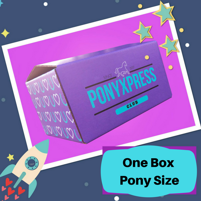 Image of Single Box - Pony Size