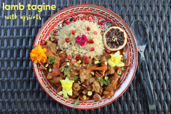 Piquant Post Flavor Kits