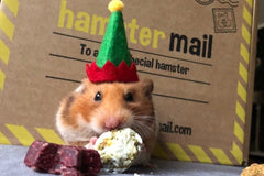 Hamster Mail