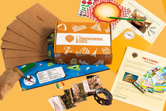 Landmark Kids Mystery Box