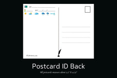 Monthly Postcard Box