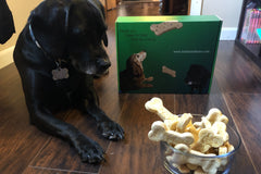 Bake Your Own Dog Treats with Bucket and Bones