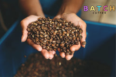 Biweekly Speciality coffee subscription