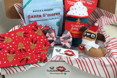 SealedWithPugKisses Specialty Dog Boxes