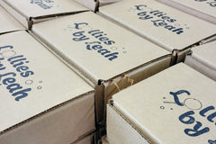 The LollyBox