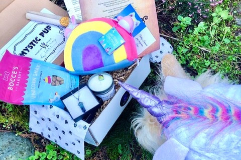 Mystic Pup Box - Bimonthly Plan