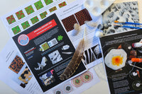 With art and code, explore simple models generating diverse patterns on animal fur, feathers, and flocks.  