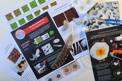 With art and code, explore simple models generating diverse patterns on animal fur, feathers, and flocks.  