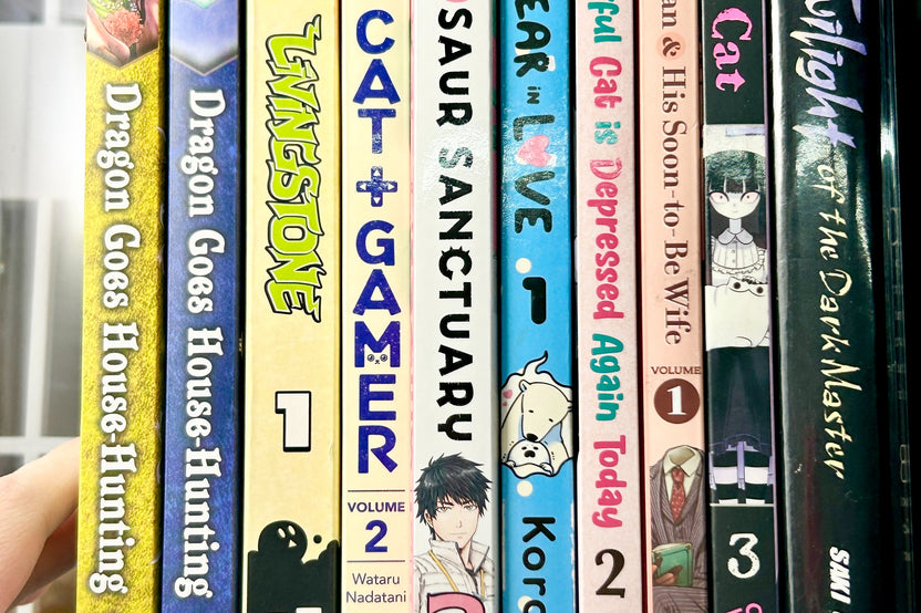 Monthly Light Novel Box