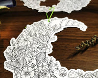 The Paper Witch - Minor Sabbats