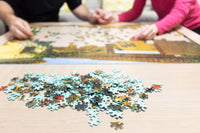 Fun Club Puzzle Of The Month Club!