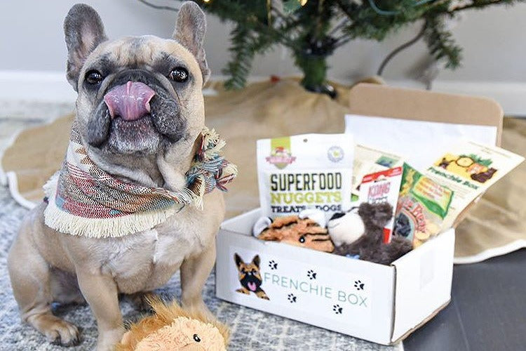 Premium Frenchie Box