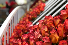 BloomsyBox