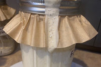 Sourdough Starter 5G