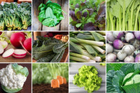 Monthly Seed Club by Urban Organic Gardener makes it easy to grow all sorts of vegetables every month!