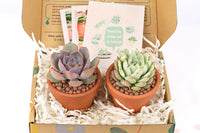 unique monthly subscription boxes, subscription gifts for women, subscription for men, gift subscription boxes