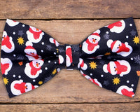 ZZ RT 1223 Nutty Neckware Tie Box