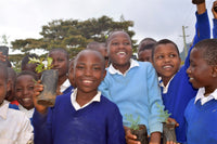 You Plant We Plant Trees, Grow Trees and We'll Plant 30 More
