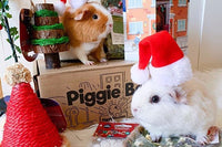 Piggie Box