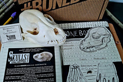 Skulls Unlimited's BoneBox