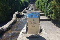 The Toucan: 100% Premium Arabica Coffee