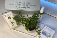 My Organic Complexion Monthly Box