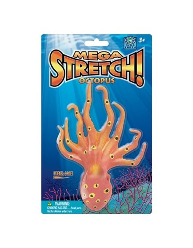 Image of Stretch Octopus