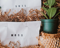 Therapeutic Garden Box