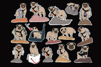 Vinny the Pug's Sticker group #2 contain many images inspired by actual photographs of Vinny climbing boulders in the Sonoran Desert.